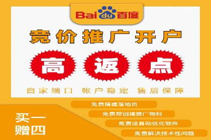 SEM广告创意与执行：成功案例分享